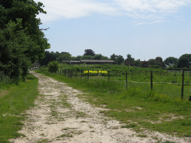 Photo 6"x4" Footpath south to Blackstone Blackstone\/TQ2416 c2010