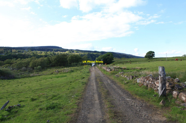 Photo 6"x4" Track from Ardtornish Castle to Caolas na h-\u00c3\u0080irde Lochaline \/ Loch \u00c0lainn c2010