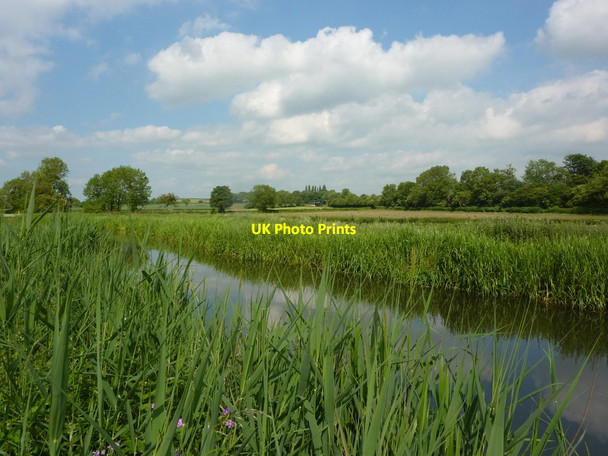 Photo 6"x4" Canal scene in early summer Retford c2010