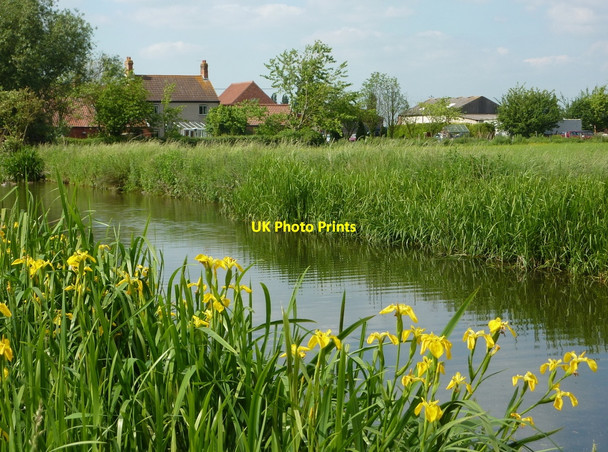 Photo 6"x4" By the canal near Bonemill Farm Retford c2010