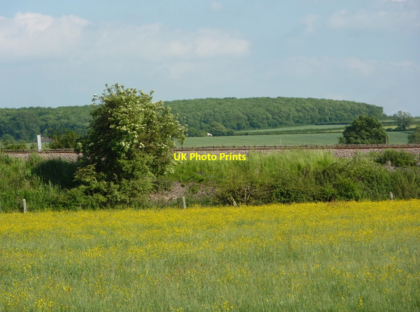 Photo 6"x4" Meadow by the railway Retford c2010