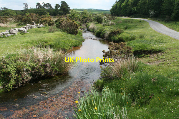 Photo 6"x4" Dartmoor Forest: below Runnage Bridge Bellever c2010