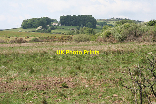 Photo 6"x4" Widecombe in the Moor: towards Blackaton Manor Higher Dunstone c2010