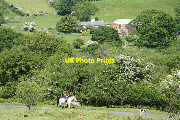 Photo 6"x4" Widecombe in the Moor: above Shallowford Higher Dunstone c2010