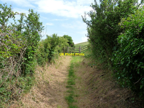 Photo 6"x4" A stile on the footpath from Woolacombe to Ivycott Ossaborough c2010