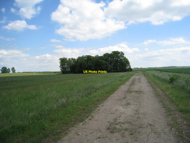 Photo 6"x4" The track leading towards Sutton Barnby in the Willows c2010