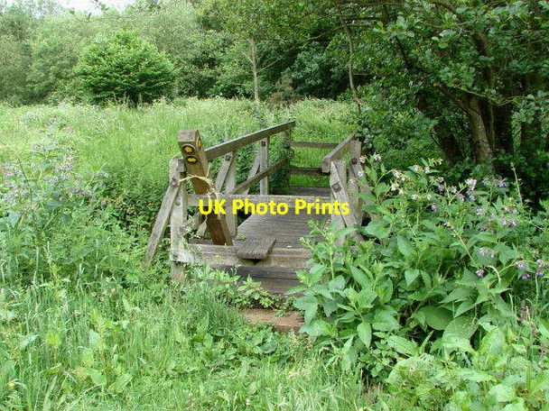 Photo 6"x4" The Millbourne, Chobham Stanners Hill c2010