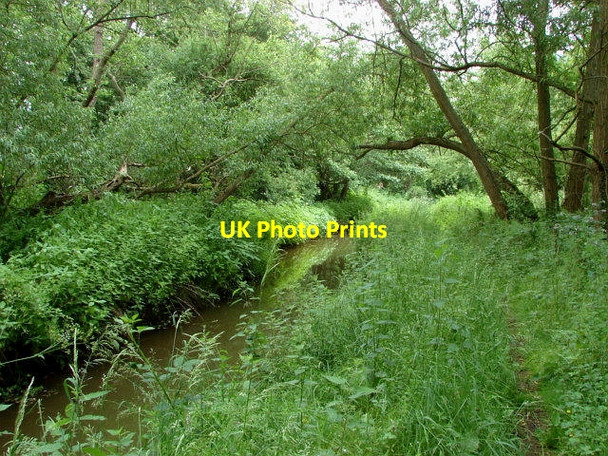 Photo 6"x4" The Millbourne, Chobham Mimbridge c2010