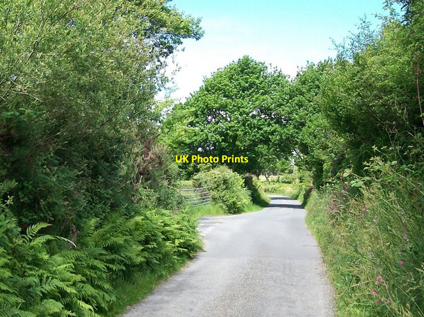 Photo 6"x4" The junction of the Llecheiddior Road with the Ynys Road Rhosgyll c2010