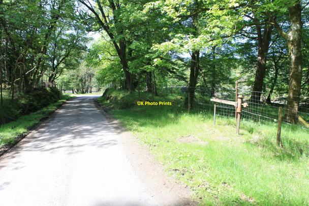 Photo 6"x4" Disused Weighbridge on the Track to Archranich Achranich c2010