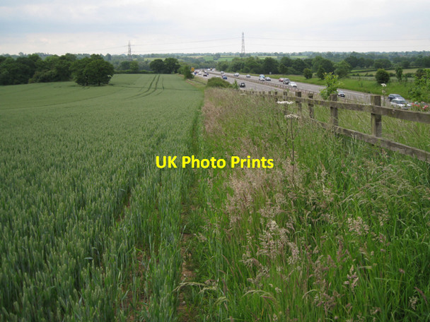 Photo 6"x4" Wheatfield by the M40 Copt Green c2010