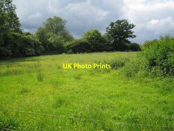Photo 6"x4" Harborough Banks, Kingswood Kingswood\/SP1871 c2010
