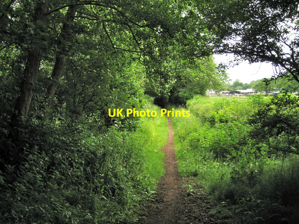 Photo 6"x4" Bridleway south of Brome Hall Farm: 2 Kingswood\/SP1871 c2010