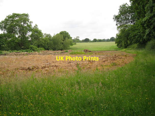 Photo 6"x4" Herbicide-treated ground south of Brome Hall Farm Kingswood\/SP1871 c2010