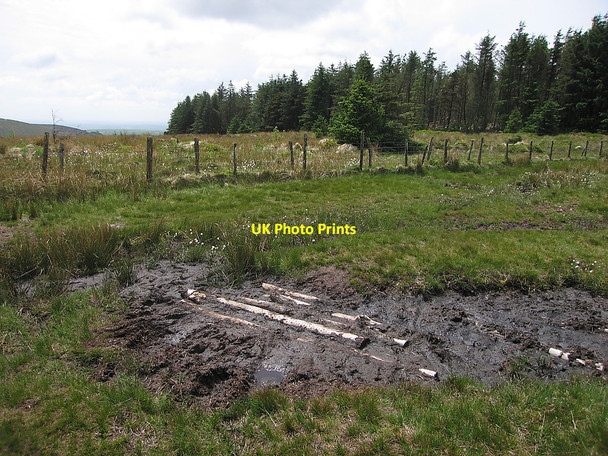 Photo 6"x4" Boggy patch on the Preseli ridge Tafarn-y-bwlch c2010