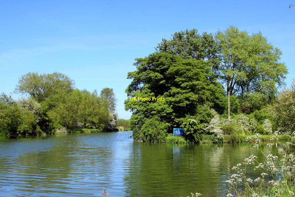 Photo 6"x4" The Thames divides by King's Lock Wolvercote c2010