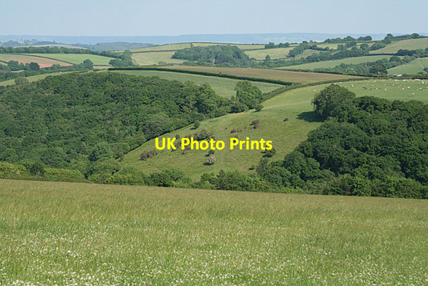 Photo 6"x4" Stoodleigh: towards Rifton Wood Loxbeare c2010