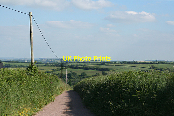 Photo 6"x4" Stoodleigh: lane to by Whitnole Cross Rackenford c2010