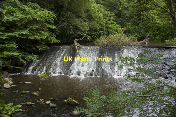 Photo 6"x4" Weir on the Water of Leith Juniper Green c2010