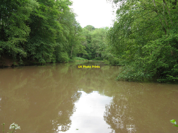 Photo 6"x4" Roaringpond near Pickhurst Chiddingfold c2010