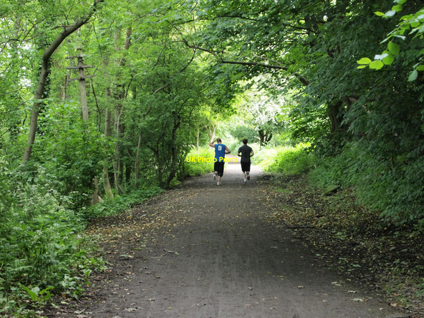 Photo 6"x4" Water of Leith Walkway Currie c2010