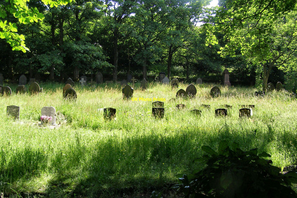 Photo 6"x4" Ogden Burial Ground Rough Bank\/SD9412 c2010