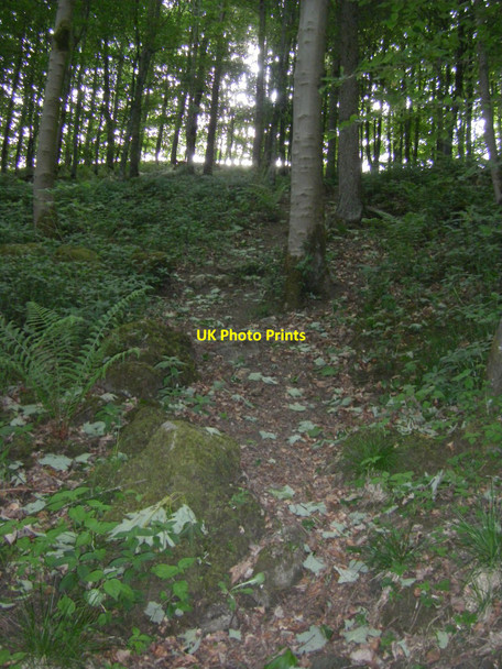 Photo 6"x4" Path in woodland, Clapdale Wood Clapham\/SD7469 c2010