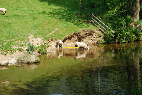 Photo 6"x4" Mother, what are you doing? Llangollen c2010