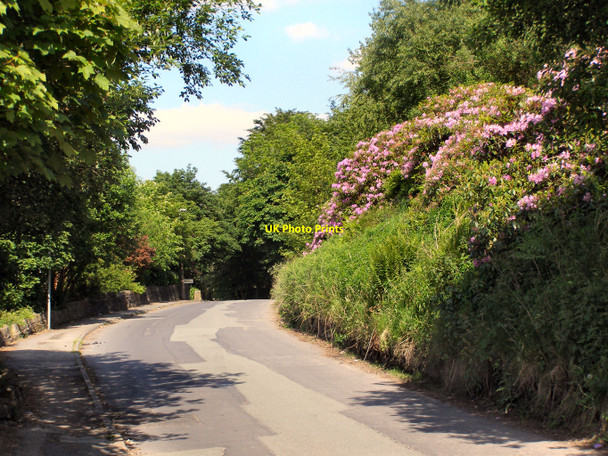 Photo 6"x4" Ogden Lane Milnrow c2010