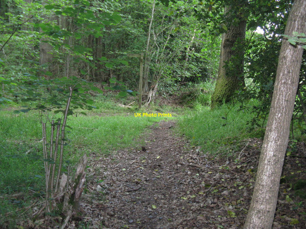 Photo 6"x4" Waymarker for bridleway in Durfold Wood Upper Ifold c2010