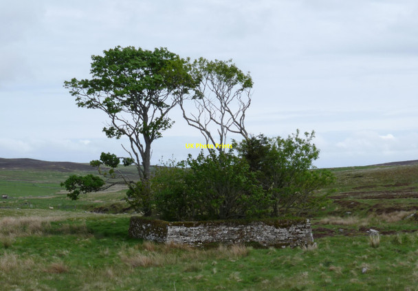 Photo 6"x4" Burial ground by the Burn of Houstry Houstry\/ND1535 c2010