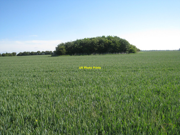 Photo 6"x4" Orby Marsh Habertoft c2010