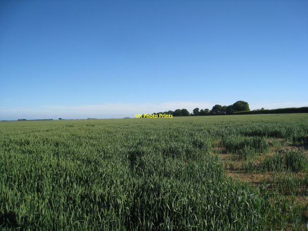 Photo 6"x4" On the Meridian looking south Ruckland c2010