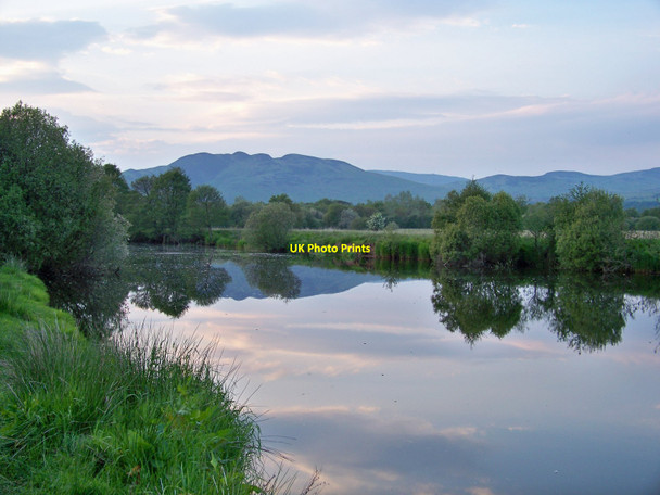 Photo 6"x4" A June Evening Beside The Endrick Water Badshalloch c2010