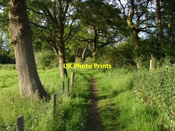 Photo 6"x4" West Hall Farm, Pirbright Pirbright c2010