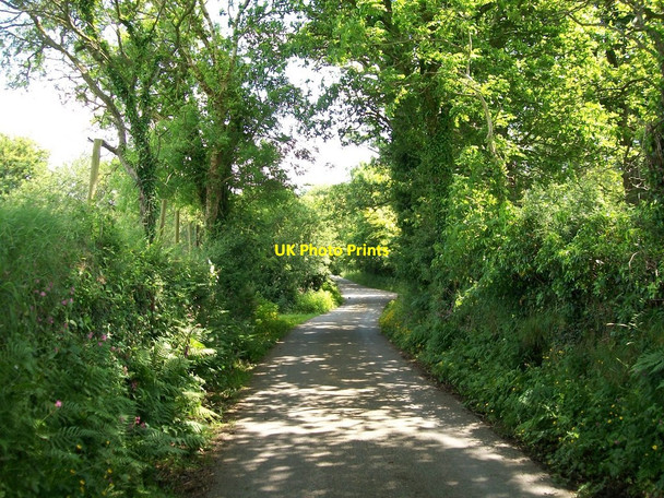 Photo 6"x4" Country lane between Efailnewydd and Gorphwysfa Pwllheli c2010