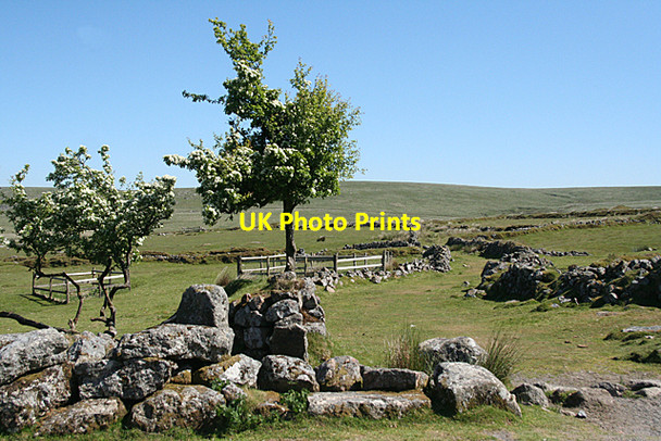 Photo 6"x4" Dartmoor Forest: shafts at Whiteworks Princetown\/SX5873 c2010