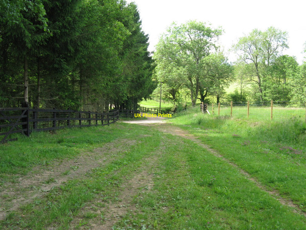 Photo 6"x4" Bridleway approaching drive to Dunsfold Ryse Highstreet Green\/SU9835 c2010