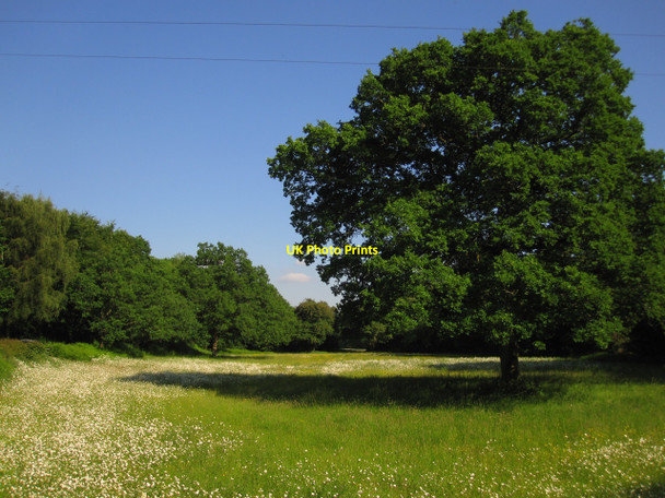 Photo 6"x4" Llanstephan: Summer grassland by the River Wye Llanstephan c2010