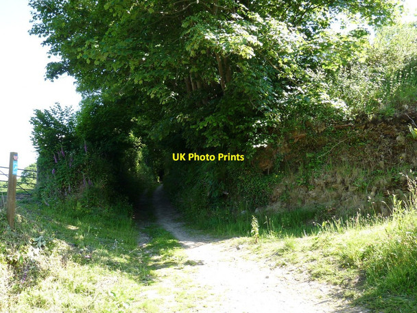 Photo 6"x4" Castle lane which leads to Knowle Nethercott\/SS4839 c2010