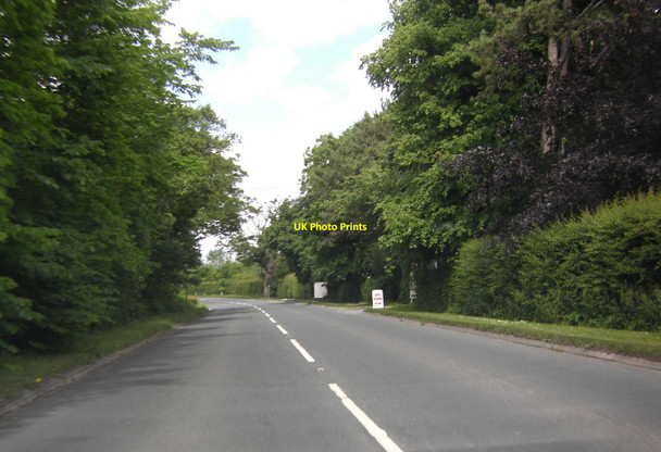 Photo 6"x4" Tarnacre Lane near Churchtown Churchtown\/SD4843 c2010