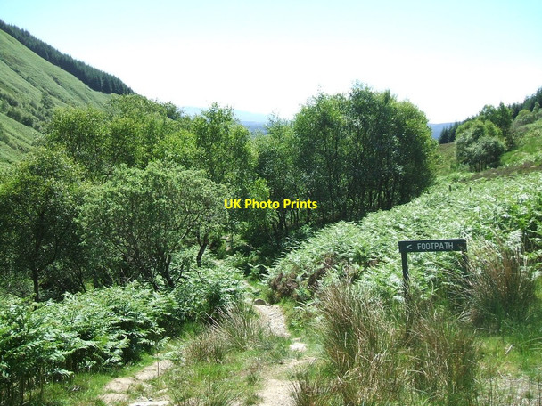 Photo 6"x4" Ledard Glen Kinlochard c2010