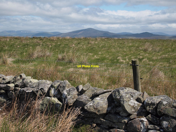 Photo 6"x4" Hill of Cally Ballintuim\/NO1054 c2010