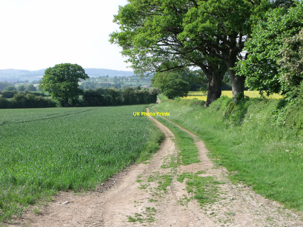 Photo 6"x4" The Offa's Dyke long distance path near Chirbury, Shropshire Montgomery c2010