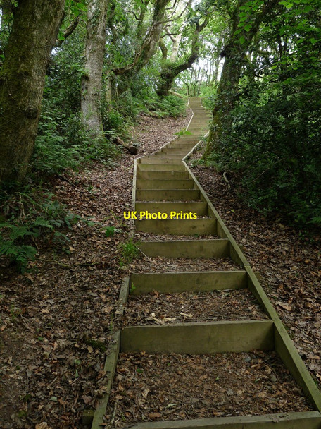 Photo 6"x4" Steps in Chapel Woods Bradwell\/SS4942 c2010 P1