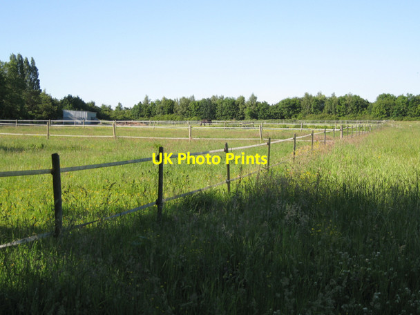 Photo 6"x4" Paddocks, Great Pinley Farm Pinley Green c2010