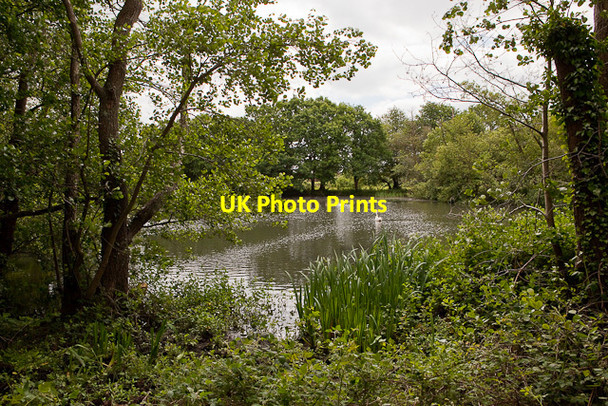 Photo 6"x4" Lake south of Sewage Treatment Works Ringwood\/SU1505 c2010