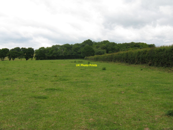 Photo 6"x4" Footpath alongside hedgerow to Bog Shaw Halland c2010