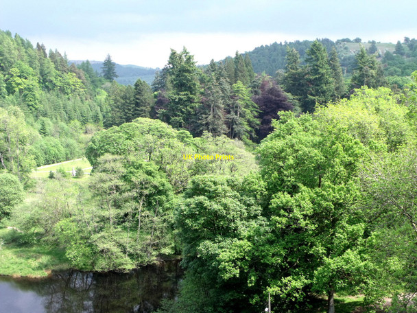 Photo 6"x4" Woodland below the dam at Lake Vyrnwy Llanwddyn c2010