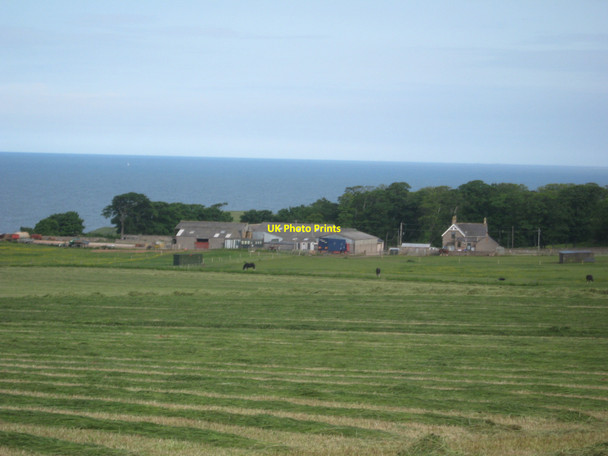 Photo 6"x4" Marshall Meadows Farm Berwick-upon-Tweed Marshall Meadows c2010